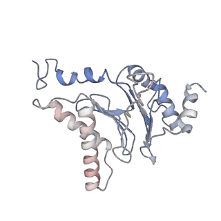 3231_5fmg_T_v1-1
Structure and function based design of Plasmodium-selective proteasome inhibitors