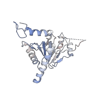 3231_5fmg_U_v1-1
Structure and function based design of Plasmodium-selective proteasome inhibitors