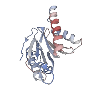 3231_5fmg_W_v1-1
Structure and function based design of Plasmodium-selective proteasome inhibitors