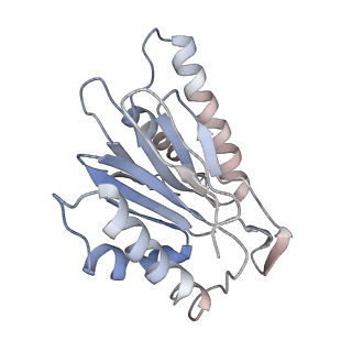 3231_5fmg_Y_v1-1
Structure and function based design of Plasmodium-selective proteasome inhibitors