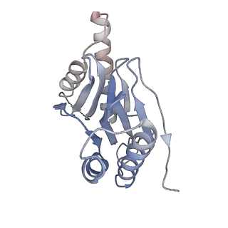 3231_5fmg_Z_v1-1
Structure and function based design of Plasmodium-selective proteasome inhibitors
