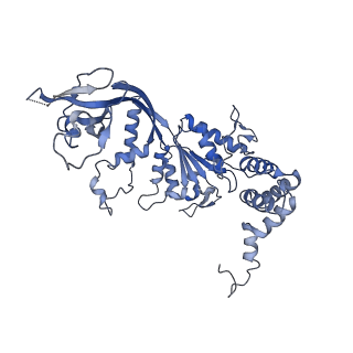 4277_6fml_B_v1-2
CryoEM Structure INO80core Nucleosome complex