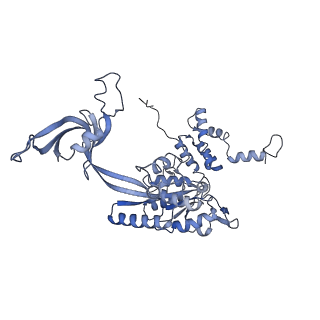 4277_6fml_C_v1-2
CryoEM Structure INO80core Nucleosome complex