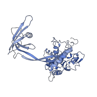 4277_6fml_D_v1-2
CryoEM Structure INO80core Nucleosome complex