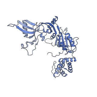 4277_6fml_E_v1-2
CryoEM Structure INO80core Nucleosome complex