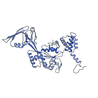 4277_6fml_F_v1-2
CryoEM Structure INO80core Nucleosome complex