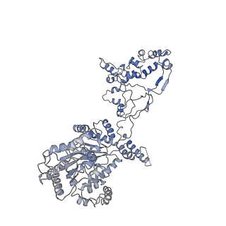 4277_6fml_G_v1-2
CryoEM Structure INO80core Nucleosome complex