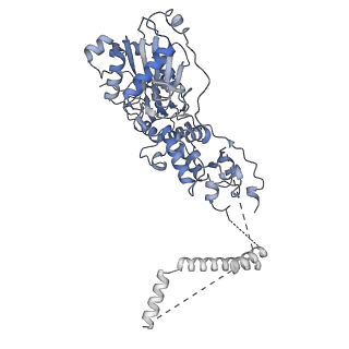 4277_6fml_J_v1-2
CryoEM Structure INO80core Nucleosome complex