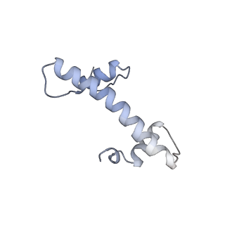 4277_6fml_N_v1-2
CryoEM Structure INO80core Nucleosome complex