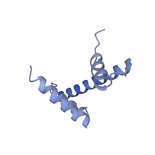 4277_6fml_P_v1-2
CryoEM Structure INO80core Nucleosome complex