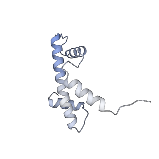 4277_6fml_Q_v1-2
CryoEM Structure INO80core Nucleosome complex