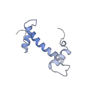 4277_6fml_R_v1-2
CryoEM Structure INO80core Nucleosome complex