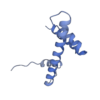 4277_6fml_T_v1-2
CryoEM Structure INO80core Nucleosome complex