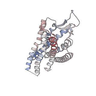 29302_8fn0_A_v1-1
CryoEM structure of Go-coupled NTSR1 with a biased allosteric modulator