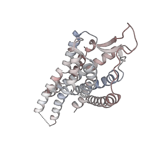 29303_8fn1_A_v1-1
CryoEM structure of Go-coupled NTSR1
