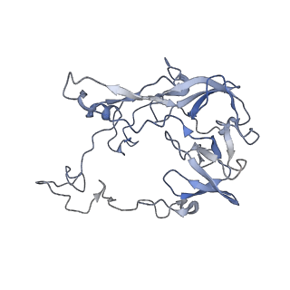 29304_8fn2_D_v1-0
The structure of a 50S ribosomal subunit in the Lyme disease pathogen Borreliella burgdorferi