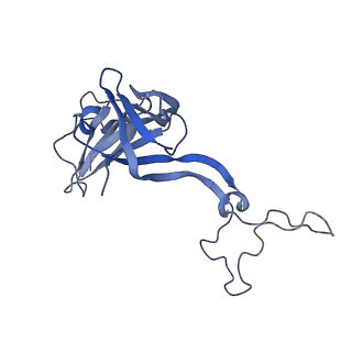 29304_8fn2_E_v1-0
The structure of a 50S ribosomal subunit in the Lyme disease pathogen Borreliella burgdorferi