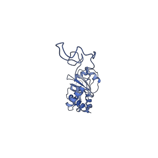 29304_8fn2_F_v1-0
The structure of a 50S ribosomal subunit in the Lyme disease pathogen Borreliella burgdorferi