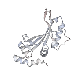 29304_8fn2_G_v1-0
The structure of a 50S ribosomal subunit in the Lyme disease pathogen Borreliella burgdorferi