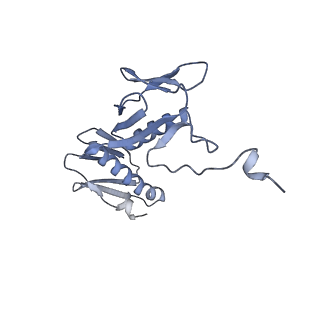 29304_8fn2_H_v1-0
The structure of a 50S ribosomal subunit in the Lyme disease pathogen Borreliella burgdorferi