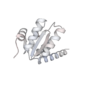 29304_8fn2_J_v1-0
The structure of a 50S ribosomal subunit in the Lyme disease pathogen Borreliella burgdorferi