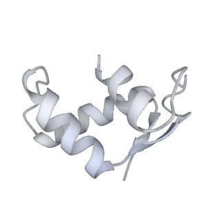 29304_8fn2_K_v1-0
The structure of a 50S ribosomal subunit in the Lyme disease pathogen Borreliella burgdorferi