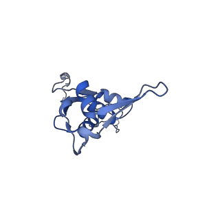 29304_8fn2_L_v1-0
The structure of a 50S ribosomal subunit in the Lyme disease pathogen Borreliella burgdorferi