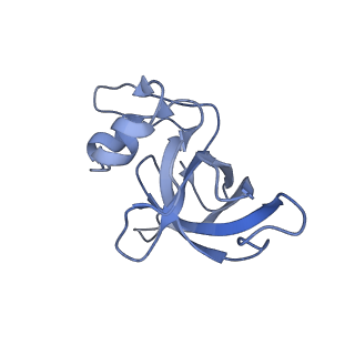 29304_8fn2_M_v1-0
The structure of a 50S ribosomal subunit in the Lyme disease pathogen Borreliella burgdorferi