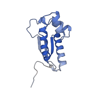 29304_8fn2_P_v1-0
The structure of a 50S ribosomal subunit in the Lyme disease pathogen Borreliella burgdorferi