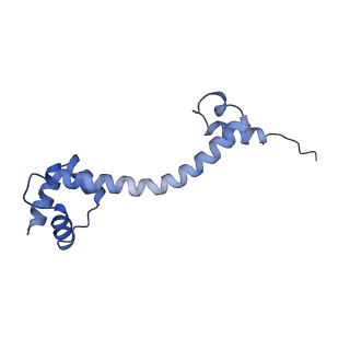 29304_8fn2_S_v1-0
The structure of a 50S ribosomal subunit in the Lyme disease pathogen Borreliella burgdorferi