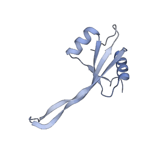 29304_8fn2_V_v1-0
The structure of a 50S ribosomal subunit in the Lyme disease pathogen Borreliella burgdorferi