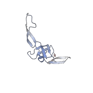 29304_8fn2_W_v1-0
The structure of a 50S ribosomal subunit in the Lyme disease pathogen Borreliella burgdorferi