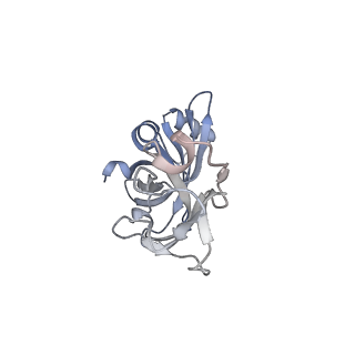29304_8fn2_X_v1-0
The structure of a 50S ribosomal subunit in the Lyme disease pathogen Borreliella burgdorferi