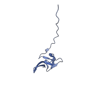 29304_8fn2_Y_v1-0
The structure of a 50S ribosomal subunit in the Lyme disease pathogen Borreliella burgdorferi
