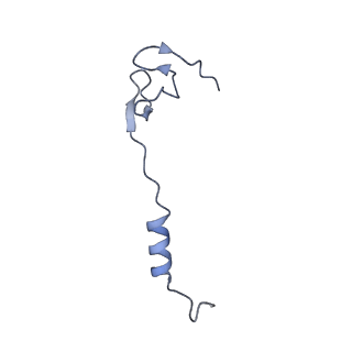 29304_8fn2_d_v1-0
The structure of a 50S ribosomal subunit in the Lyme disease pathogen Borreliella burgdorferi
