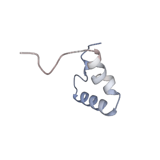 29304_8fn2_f_v1-0
The structure of a 50S ribosomal subunit in the Lyme disease pathogen Borreliella burgdorferi