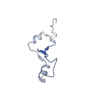 29304_8fn2_g_v1-0
The structure of a 50S ribosomal subunit in the Lyme disease pathogen Borreliella burgdorferi