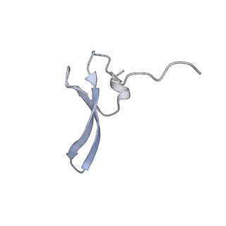 29304_8fn2_i_v1-0
The structure of a 50S ribosomal subunit in the Lyme disease pathogen Borreliella burgdorferi