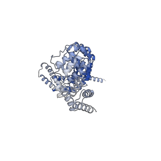 29305_8fn4_3_v1-0
Cryo-EM structure of RNase-treated RESC-A in trypanosomal RNA editing