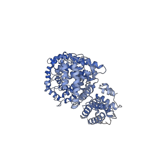 29305_8fn4_4_v1-0
Cryo-EM structure of RNase-treated RESC-A in trypanosomal RNA editing