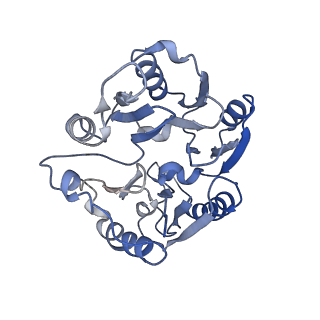 29305_8fn4_5_v1-0
Cryo-EM structure of RNase-treated RESC-A in trypanosomal RNA editing