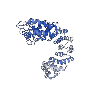 29305_8fn4_6_v1-0
Cryo-EM structure of RNase-treated RESC-A in trypanosomal RNA editing
