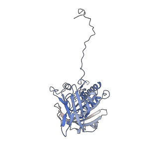 29306_8fn6_1_v1-0
Cryo-EM structure of RNase-untreated RESC-A in trypanosomal RNA editing