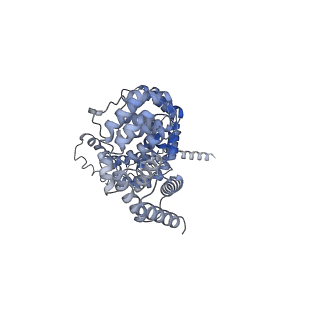 29306_8fn6_3_v1-0
Cryo-EM structure of RNase-untreated RESC-A in trypanosomal RNA editing