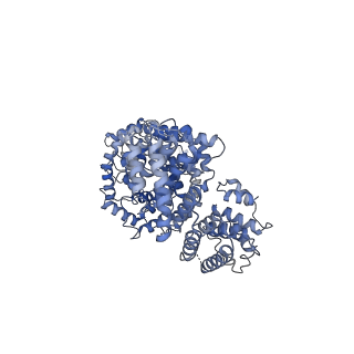 29306_8fn6_4_v1-0
Cryo-EM structure of RNase-untreated RESC-A in trypanosomal RNA editing