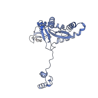 29307_8fn7_A_v1-0
Structure of WT HIV-1 intasome bound to Dolutegravir