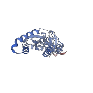 29307_8fn7_B_v1-0
Structure of WT HIV-1 intasome bound to Dolutegravir