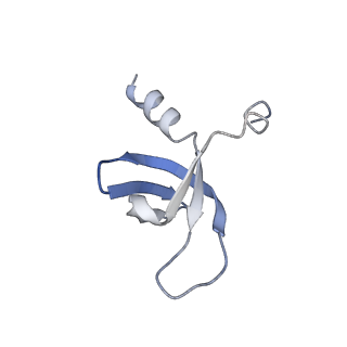 29307_8fn7_C_v1-0
Structure of WT HIV-1 intasome bound to Dolutegravir