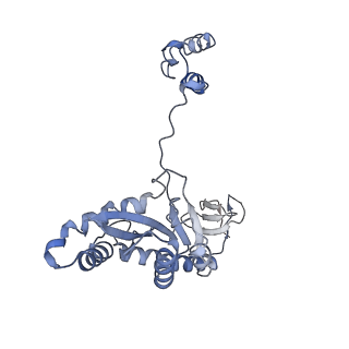 29307_8fn7_G_v1-0
Structure of WT HIV-1 intasome bound to Dolutegravir
