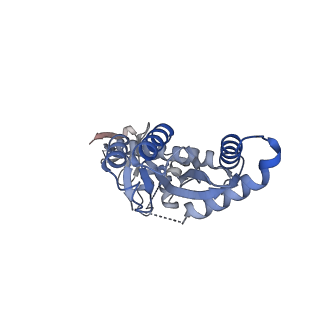 29307_8fn7_H_v1-0
Structure of WT HIV-1 intasome bound to Dolutegravir